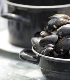 Cosy & Trendy Mosselpan - Zwart - ø 12 Cm / 900 Ml 8 Cosy & Trendy Mosselpan - Zwart - ø 12 Cm / 900 Ml -Le Creuset Winkel 111 PUNT 012 scaled