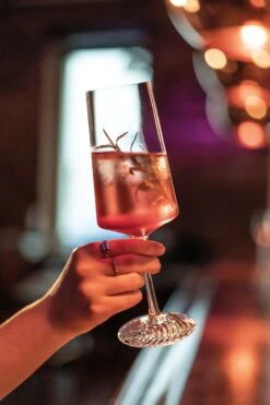 Zwiesel Glas Champagneglazen Echo - 395 Ml - 4 Stuks 10 Zwiesel Glas Champagneglazen Echo - 395 Ml - 4 Stuks -Le Creuset Winkel 4001836117838 4