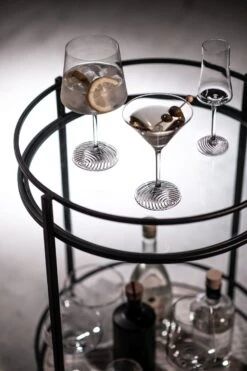 Zwiesel Glas Martiniglazen Echo - 166 Ml - 4 Stuks -Le Creuset Winkel 4001836117845 4