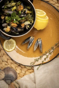 Anovi Mosselbestek 2-delig -Le Creuset Winkel 5 Mosselen Anovi 5