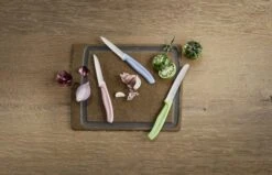 Victorinox Schilmessenset Divers - 3-Delig -Le Creuset Winkel 7613329141908 2