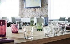 Bormioli Rocco Waterglazen Diamond - 300 Ml - 6 Stuks -Le Creuset Winkel 81yVGinhYDL. SL1500 1 1