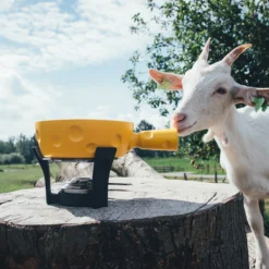 Boska Fondueset Cheesy - 6 Personen - Geel/zwart - 1.3 Liter -Le Creuset Winkel 853512 BOSKAFondueSetSuperCheesy 2 2400x