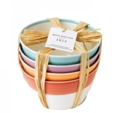 Royal Doulton Kommen 1815 Bright Colours ø 15 Cm - 4 Stuks -Le Creuset Winkel 9022 2