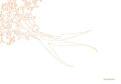 Kookboek - Plenty More 15 Kookboek - Plenty More -Le Creuset Winkel 9789059565388 03