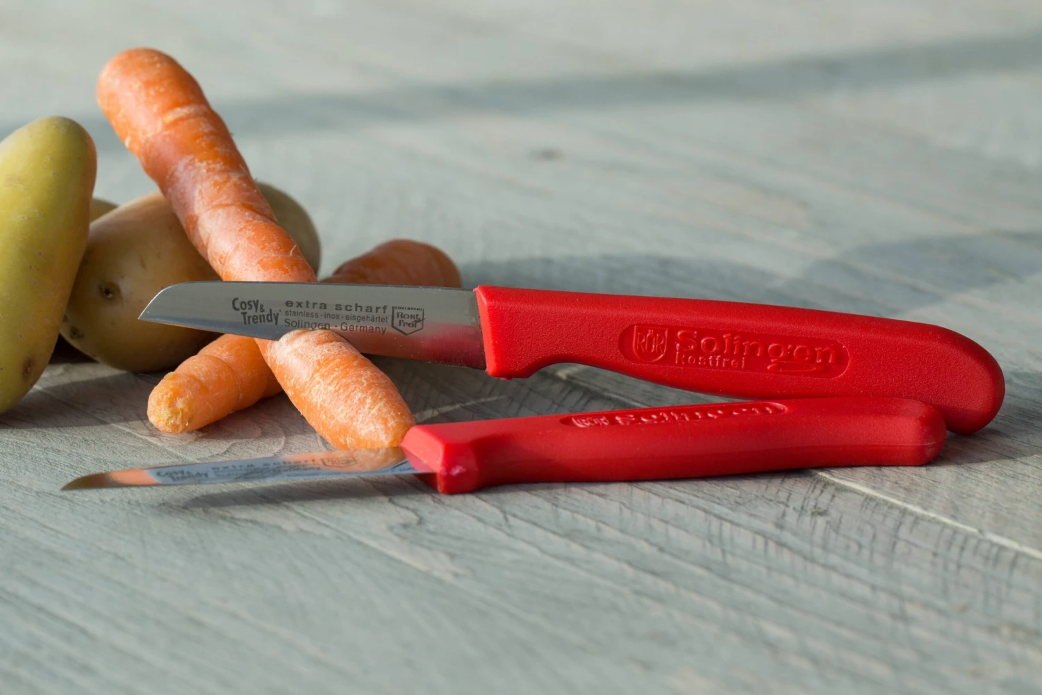 Cosy & Trendy Schilmes RVS - 2 Stuks 2 Cosy & Trendy Schilmes RVS - 2 Stuks - Afbeelding 2