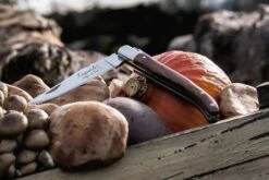 Laguiole Style De Vie Zakmes Rozenhout -Le Creuset Winkel Laguiole zakmes rozenhout sf gr 10