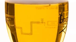 Brugse Zot Bierglas - 330 Ml -Le Creuset Winkel Merkbier gevuld 8 scaled