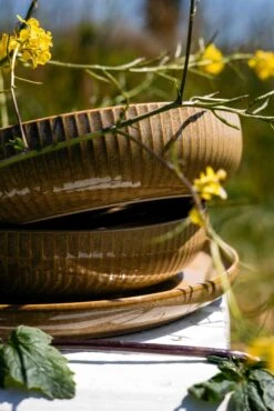 Jay Hill Diepe Borden Silhouette ø 21 Cm - 4 Stuks 11 Jay Hill Diepe Borden Silhouette ø 21 Cm - 4 Stuks -Le Creuset Winkel Resize Silhoutte Geel 5 1 scaled