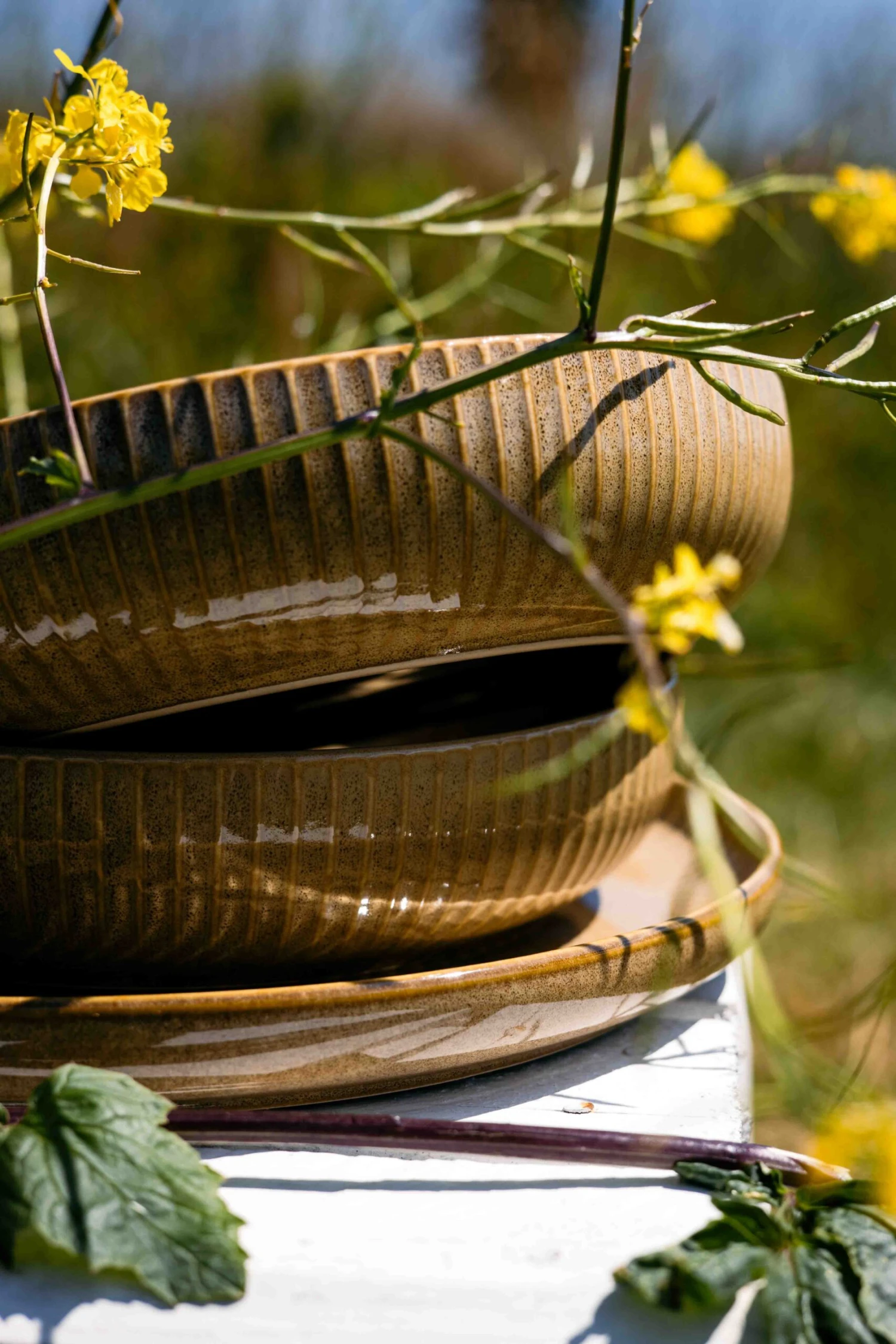 Jay Hill Diepe Borden Silhouette ø 21 Cm - 4 Stuks 4 Jay Hill Diepe Borden Silhouette ø 21 Cm - 4 Stuks - Afbeelding 4