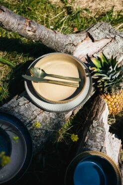 Jay Hill Dinerborden Silhouette ø 27 Cm - 4 Stuks 17 Jay Hill Dinerborden Silhouette ø 27 Cm - 4 Stuks -Le Creuset Winkel Silhoutte Mix 3 1 scaled