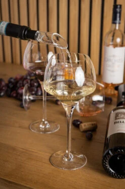 Sareva Wijnopener Set (met Wijnstopper. Foliesnijder & Schenktuit) -Le Creuset Winkel Wijnopener 12