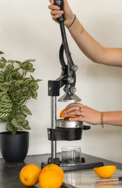 Sareva Citruspers - Gietijzer - Hevelmodel - Zwart -Le Creuset Winkel citruspers 3 1 scaled