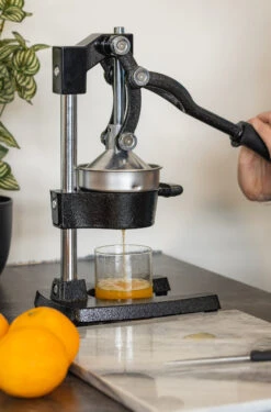 Sareva Citruspers - Gietijzer - Hevelmodel - Zwart -Le Creuset Winkel citruspers 5 scaled