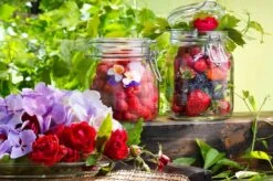 Bormioli Rocco Weckpot Fido 11 X 11 Cm / 1.5 Liter -Le Creuset Winkel e000316 3