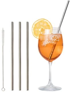 Sareva Herbruikbare Rietjes - Met Borstel - RVS - 4 Stuks