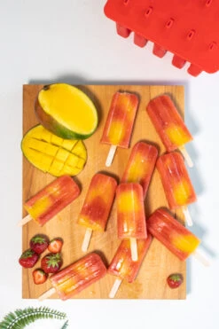 Sareva IJsjesmaker - 10 Ijsjes - Rood - Siliconen - Easy Release - Herbruikbaar -Le Creuset Winkel sareva ijsjesmaker 1