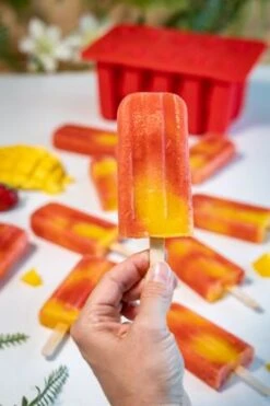 Sareva IJsjesmaker Voor 10 Ijsjes - Rood - Siliconen + 150 Houten IJsstokjes -Le Creuset Winkel sareva ijsjesmaker 2