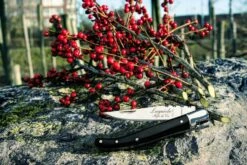 Laguiole Style De Vie Zakmes Zwart Ebbenhout -Le Creuset Winkel sf zakmes zwart ebbenhout 6 gr